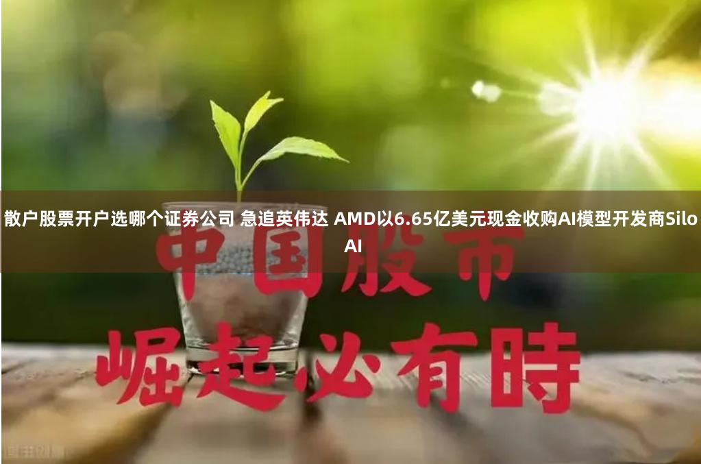 散户股票开户选哪个证券公司 急追英伟达 AMD以6.65亿美元现金收购AI模型开发商Silo AI