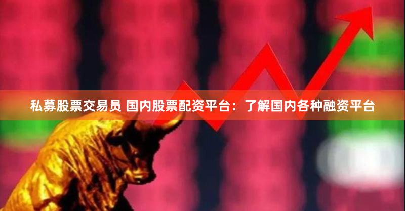 私募股票交易员 国内股票配资平台：了解国内各种融资平台