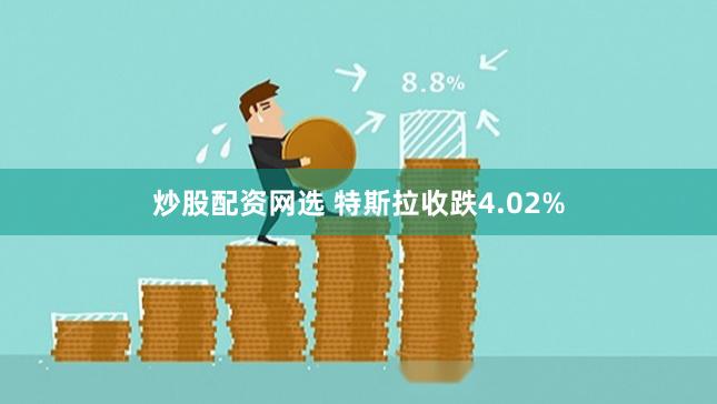 炒股配资网选 特斯拉收跌4.02%