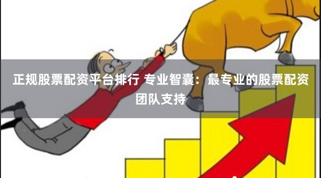 正规股票配资平台排行 专业智囊：最专业的股票配资团队支持